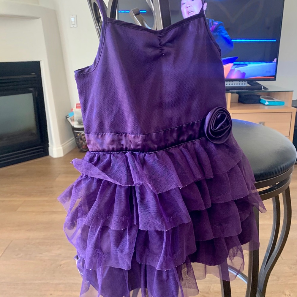Girls Purple Satin and Tulle Ruffle Dress